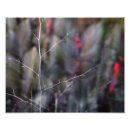 Buscar melancólico posters Naturaleza