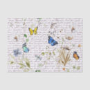 Buscar flor papel de seda Mariposa
