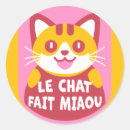 Buscar miaou 9 º gata