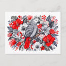 Buscar loro rojo postales Loro gris africano
