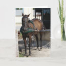 Buscar enganche tarjetas Caballo
