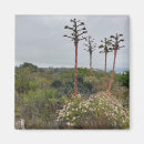 Buscar san diego imanes Turismo