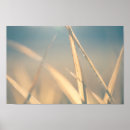 Buscar gras arte Planta