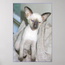 Buscar sello lindo posters Gatito