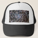 Buscar galaxia del gorras Ciencia