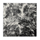 Buscar encima de azulejos Naturaleza