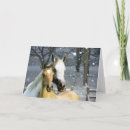 Buscar compinches tarjetas Animales