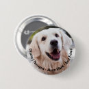 Buscar perro chapas Para ella
