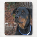 Buscar rottweiler alfombrillas de raton Rotundo
