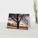 Buscar puestas del sol tarjetas Árbol