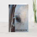 Buscar horse fotografía Caballo blanco