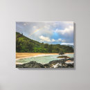 Buscar kauai fotografía Playa