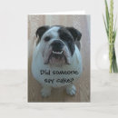 Buscar english bulldog postales Cachorros