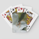 Buscar pequeño barajas de cartas Para ella