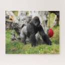 Buscar tierra baja Silverback