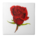 Buscar pintado color de rosa azulejos Floral