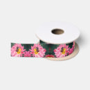 Buscar margaritas cintas Flor