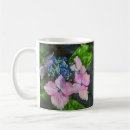 Buscar jardín del hydrangea tazas Jardinero