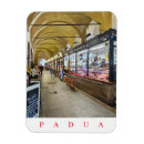 Buscar padua imanes Italia