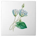 Buscar flores del loto azulejos General y unisex