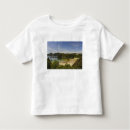 Buscar nueva zelanda camisetas Isla sur