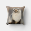 Buscar foca cojines Vida silvestre