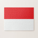 Buscar bandera puzzles Ilustracion