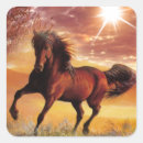 Buscar caballos salvajes pegatinas General y unisex