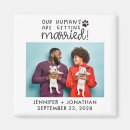 Buscar perro y gato invitaciones Para ellos