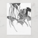 Buscar catalan postales Catalán