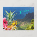 Buscar flores de hawaii postales General y unisex