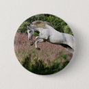 Buscar caballo de salto pins Ecuestre