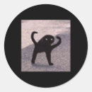 Buscar memes pegatinas Amantes de los gatos