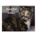 Buscar felino calendarios Adorable