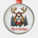 Buscar beagle adornos Festivo