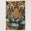 Buscar cara del tigre puzzles Salvaje