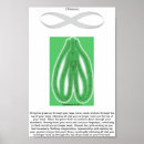 Buscar esotérico posters General y unisex