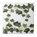 Buscar hiedra azulejos Verde