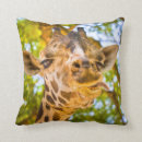 Buscar jirafa divertida cojines Jirafas