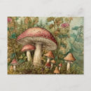 Buscar fairytales postales Hermoso