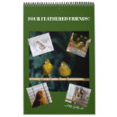 Buscar pájaros calendarios Animales