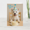 Buscar westie tarjetas Madre
