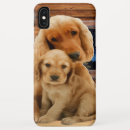 Buscar labrador retriever iphone fundas Perros