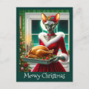 Buscar gatos felices postales Para mascotas