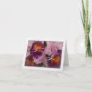 Buscar híbrido tarjetas Orquídea
