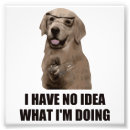 Buscar laboratorio de química posters Divertido