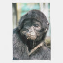 Buscar primates paños de cocina General y unisex