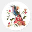 Buscar granada pegatinas Naturaleza