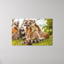 Buscar lemur arte Madagascar