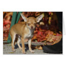 Buscar chiwawa tarjetas Adorable